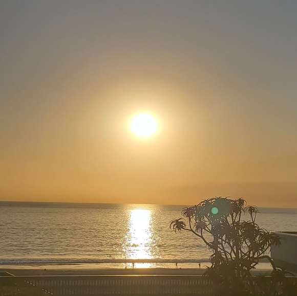 Meet your Posher, G - Picture 1 of 1